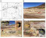 Trace Elemental Partitioning on Clays Derived from Hydrothermal Muds of the El Tatio Geyser Field, Chile